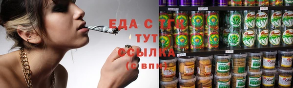 гидра Арсеньев