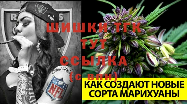 гидра Арсеньев