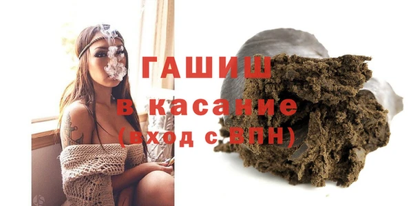 гидра Арсеньев